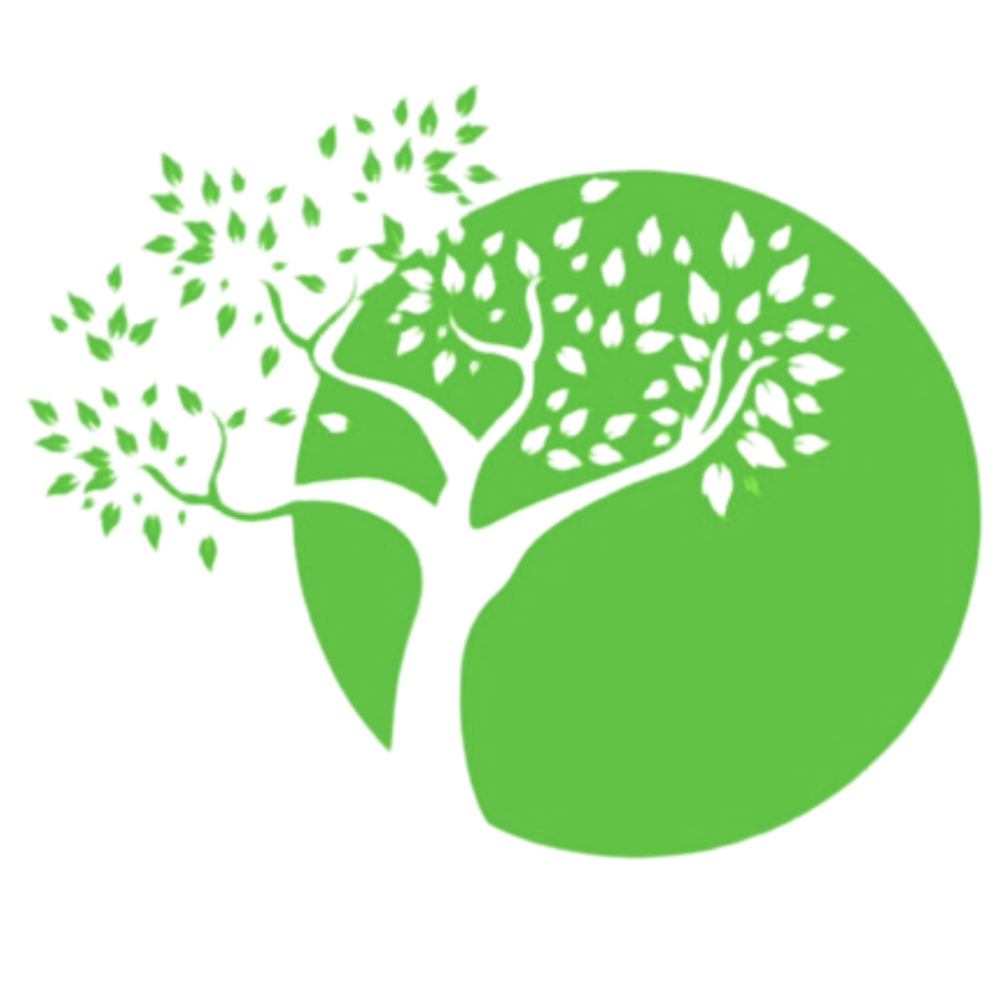 The Climate Thinker